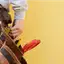 Handyman repair service in Baton Rouge, LA for home fixes and improvements
